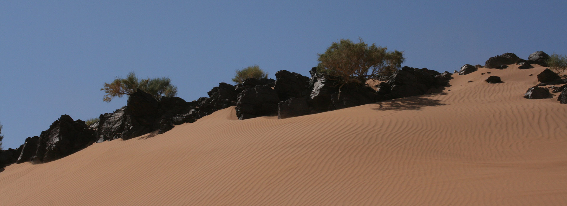 east-gobi-mongolia