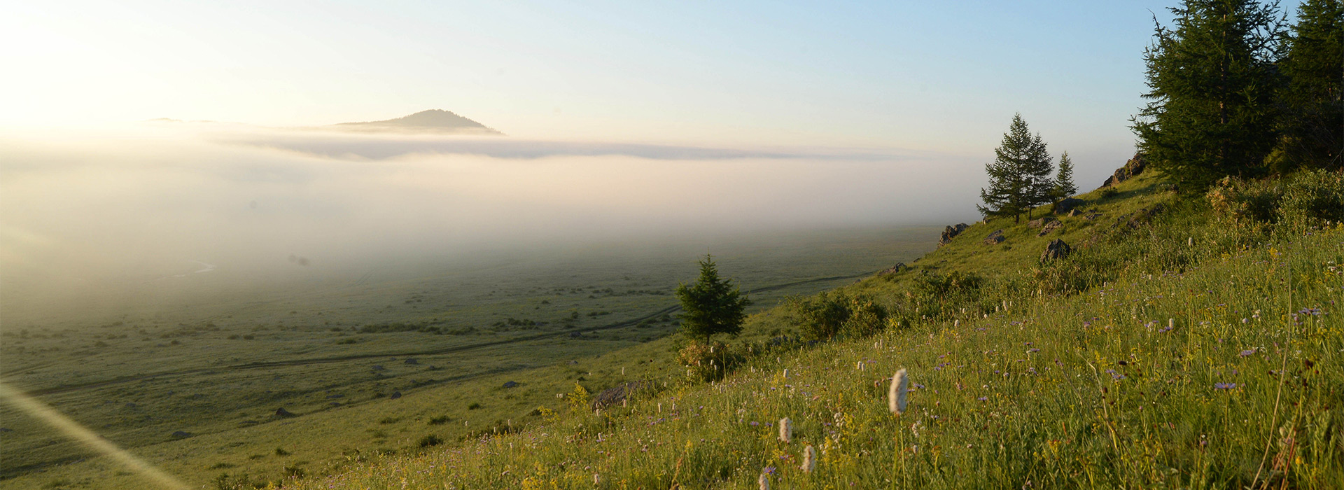 mongolian-grassland